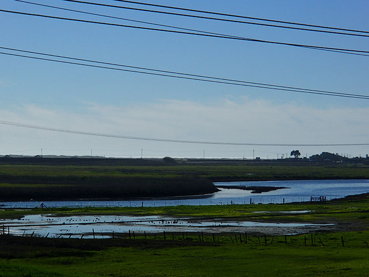 a marine fog layer blends into soft blue sky and vibrant grassland, the slough at high tide created a large pool of water, while the main water way curves around raised grassy flatlands